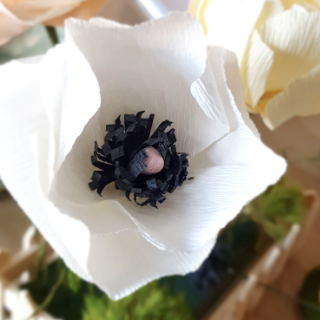 fleur en papier crépon, anémone blanche